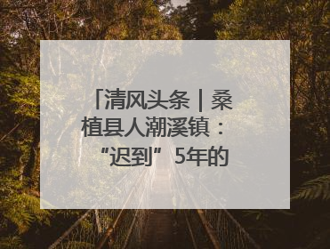 清风头条｜桑植县人潮溪镇：“迟到”5年的生态林补偿金