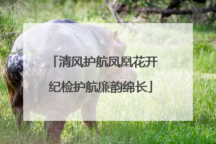 清风护航凤凰花开 纪检护航廉韵绵长