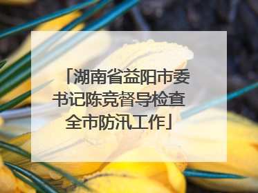 湖南省益阳市委书记陈竞督导检查全市防汛工作