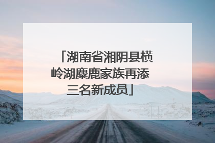 湖南省湘阴县横岭湖麋鹿家族再添三名新成员