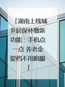 湖南上线城乡居保补缴新功能：手机点一点 养老金提档不用跑腿
