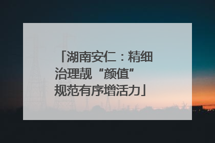 湖南安仁：精细治理靓“颜值” 规范有序增活力