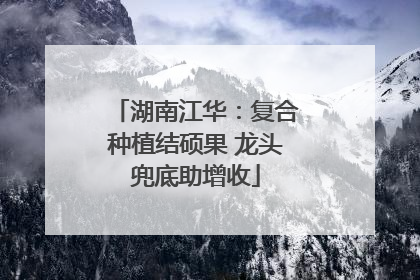 湖南江华：复合种植结硕果 龙头兜底助增收