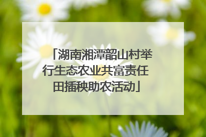 湖南湘潭韶山村举行生态农业共富责任田插秧助农活动