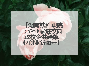 湖南铁科职院：企业家进校园 政校企共绘就业创业新图景