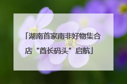 湖南首家南非好物集合店“酋长码头”启航