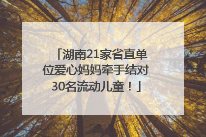 湖南21家省直单位爱心妈妈牵手结对30名流动儿童！