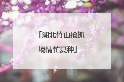 湖北竹山抢抓墒情忙夏种
