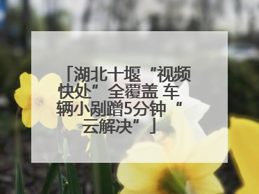 湖北十堰“视频快处”全覆盖 车辆小剐蹭5分钟“云解决”