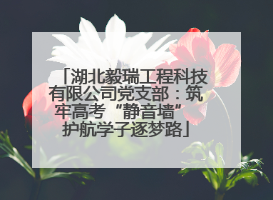 湖北毅瑞工程科技有限公司党支部：筑牢高考“静音墙” 护航学子逐梦路