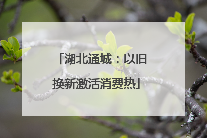 湖北通城：以旧换新激活消费热