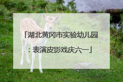 湖北黄冈市实验幼儿园：表演皮影戏庆六一
