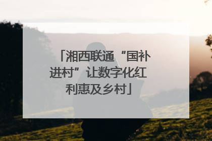 湘西联通“国补进村”让数字化红利惠及乡村
