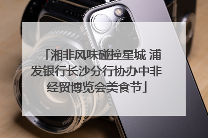 湘非风味碰撞星城 浦发银行长沙分行协办中非经贸博览会美食节