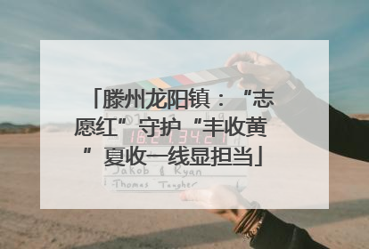 滕州龙阳镇：“志愿红”守护“丰收黄”夏收一线显担当