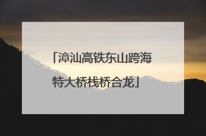 漳汕高铁东山跨海特大桥栈桥合龙
