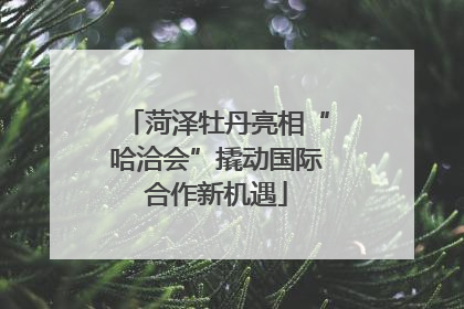 菏泽牡丹亮相“哈洽会”撬动国际合作新机遇
