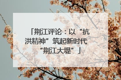 荆江评论：以“抗洪精神”筑起新时代“荆江大堤”