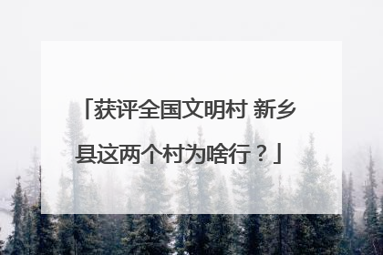 获评全国文明村 新乡县这两个村为啥行？