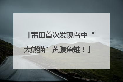 莆田首次发现鸟中“大熊猫”黄腹角雉！