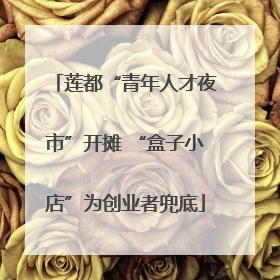 莲都“青年人才夜市”开摊 “盒子小店”为创业者兜底