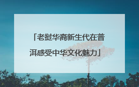 老挝华裔新生代在普洱感受中华文化魅力