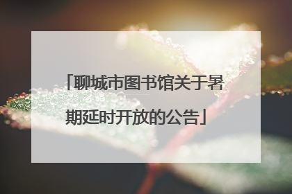 聊城市图书馆关于暑期延时开放的公告