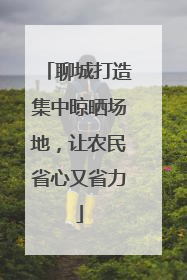 聊城打造集中晾晒场地，让农民省心又省力