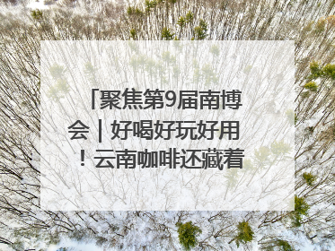 聚焦第9届南博会｜好喝好玩好用！云南咖啡还藏着多少惊喜？