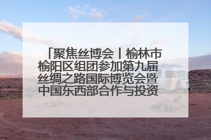 聚焦丝博会丨榆林市榆阳区组团参加第九届丝绸之路国际博览会暨中国东西部合作与投资贸易洽谈会