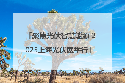 聚焦光伏智慧能源 2025上海光伏展举行