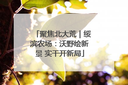 聚焦北大荒｜绥滨农场：沃野绘新景 实干开新局
