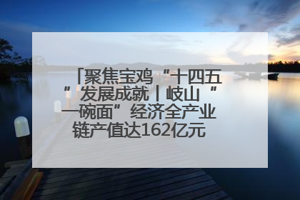 聚焦宝鸡“十四五”发展成就丨岐山“一碗面”经济全产业链产值达162亿元 入选全国典型县