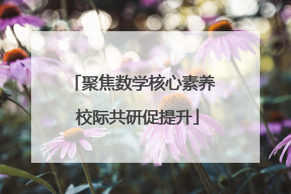 聚焦数学核心素养 校际共研促提升