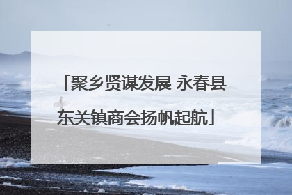 聚乡贤谋发展 永春县东关镇商会扬帆起航