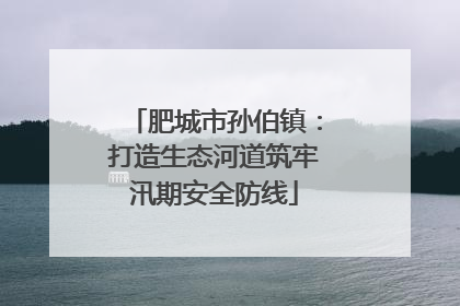 肥城市孙伯镇：打造生态河道筑牢汛期安全防线