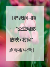 肥城桃园镇：“公益电影放映+村晚”点亮夜生活