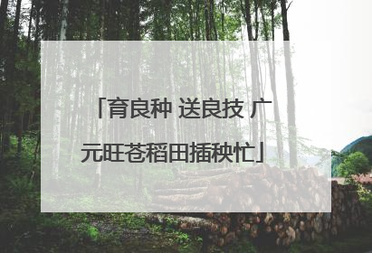 育良种 送良技 广元旺苍稻田插秧忙
