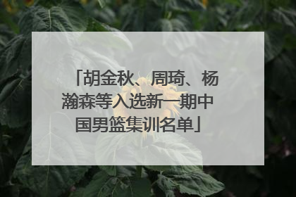 胡金秋、周琦、杨瀚森等入选新一期中国男篮集训名单