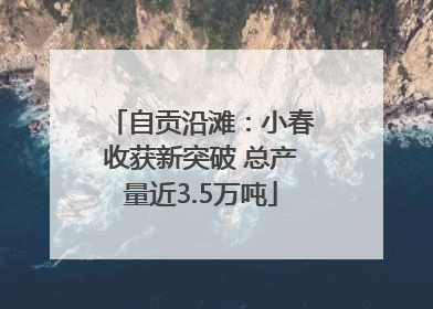 自贡沿滩：小春收获新突破 总产量近3.5万吨