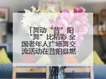 舞动“昔”阳 “舞”比精彩 全国老年人广场舞交流活动在昔阳县燃情启幕