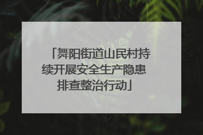 舞阳街道山民村持续开展安全生产隐患排查整治行动