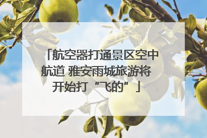 航空器打通景区空中航道 雅安雨城旅游将开始打“飞的”