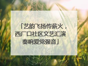 艺韵飞扬传薪火，西厂口社区文艺汇演奏响爱党强音