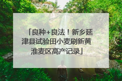良种+良法！新乡延津县试验田小麦刷新黄淮麦区高产记录