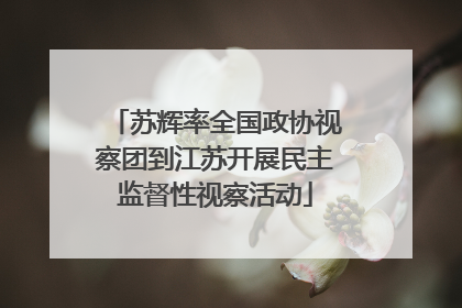 苏辉率全国政协视察团到江苏开展民主监督性视察活动