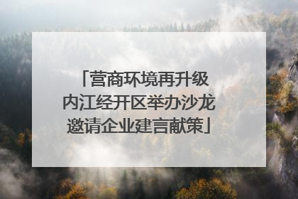 营商环境再升级 内江经开区举办沙龙邀请企业建言献策