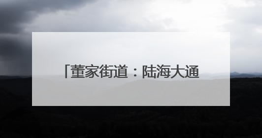 董家街道：陆海大通道释放“黄金效应”