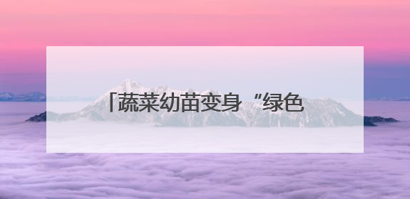 蔬菜幼苗变身“绿色教科书”！哈市各区中小学生展示种植成果