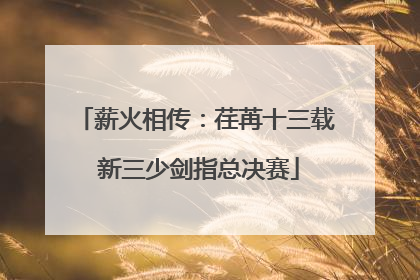 薪火相传：荏苒十三载 新三少剑指总决赛